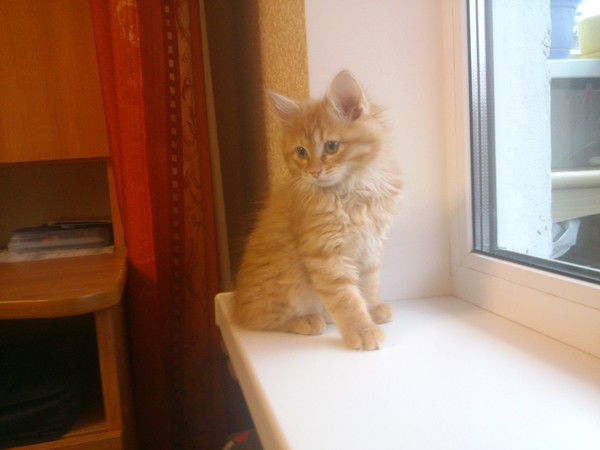 Жанна Захарова