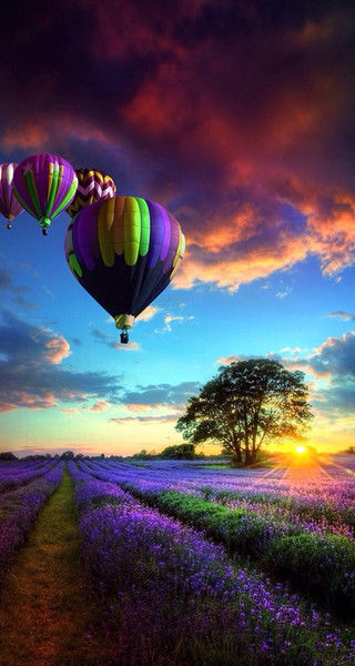 Марина Полякова