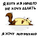 Котэ Под Наркотэ