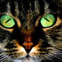 Дмитрий Котляр