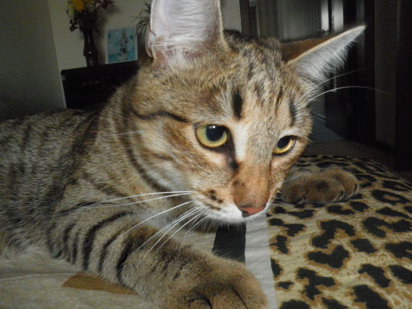 Владимир Леонов