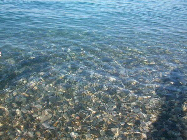 Елена Косарева