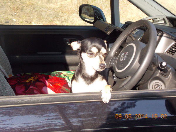 Bиталий Никифоров