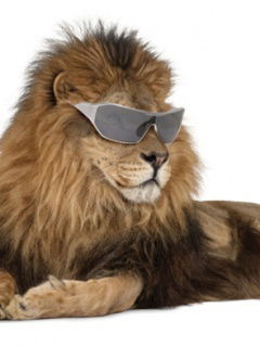 Дима Любезный