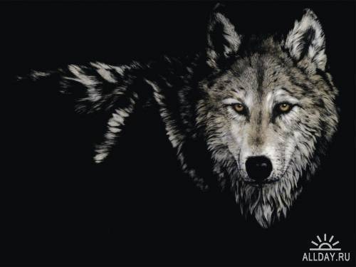 Джахонгир Абдукадыров