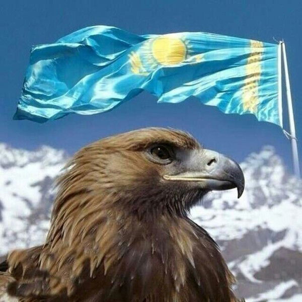 Цон, Служба Мониторинга И Контроля Г.кар