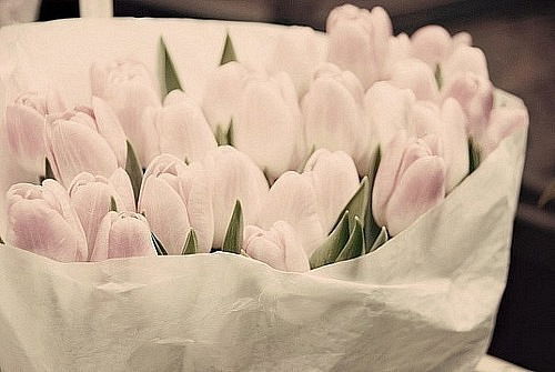 Венера Борисова