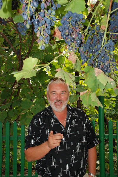 Николай Цюцюра