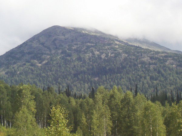 Максим Кочев