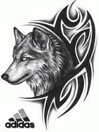 Ваня Шикула