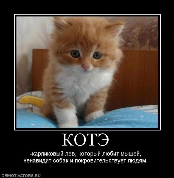 Татьяна Сироткина