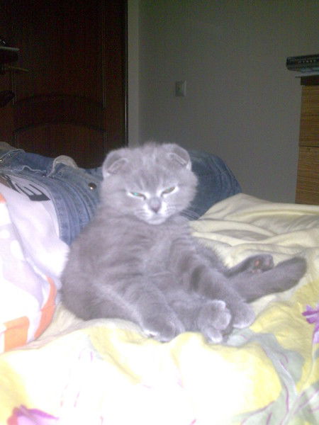 Дмитрий Мальцев