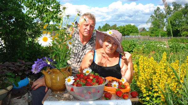 Андрей Гребенников