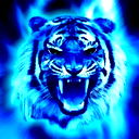 Илья Павленков