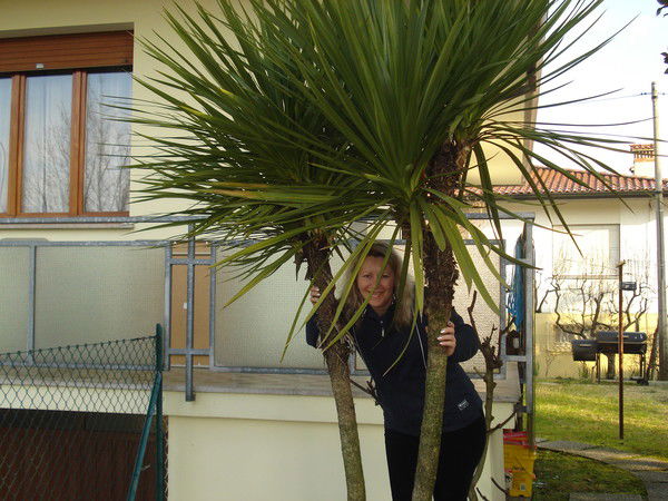 Надежда Белолипецкая