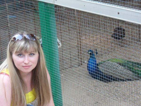 Светлана Шурлакова