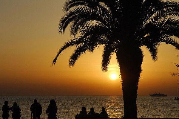 Елена Миронова