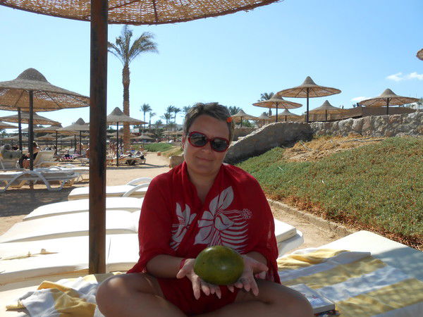 Светлана Помыткина