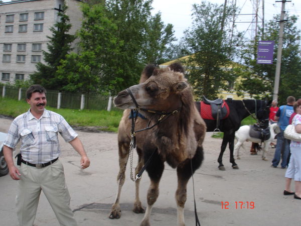 Алексей Иванович Мунтян