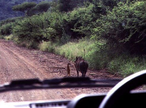 Жорик Журавлёв