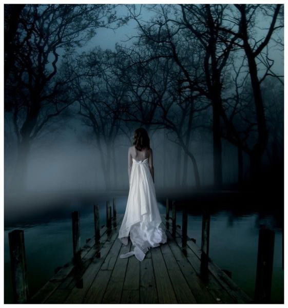 Ночная Птица