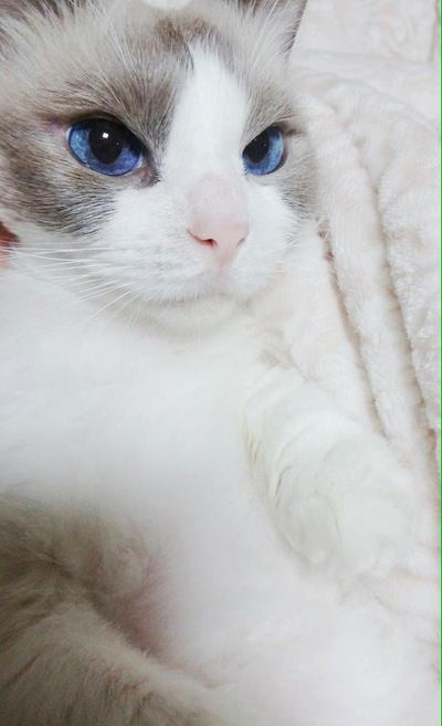 Алексей Киршов