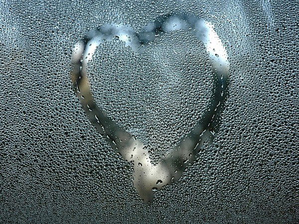 Елена Прохорова