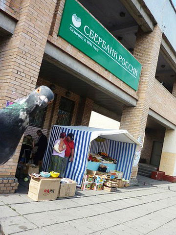 Анна Песчанская