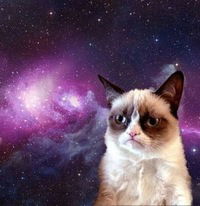 Наркас Давлетбердина