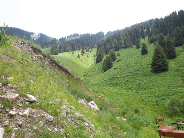 Людмила Плот