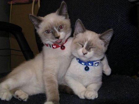 Гозаля Касымова