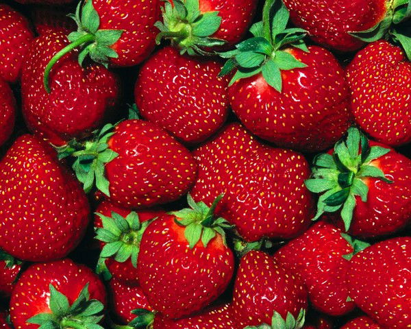 Ксения Целовальникова