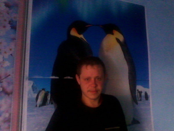 Костя Хрычков