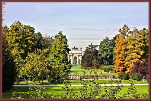 Алёна Рязанцева