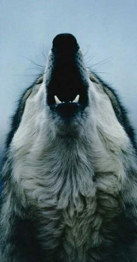 Алексей Рябов