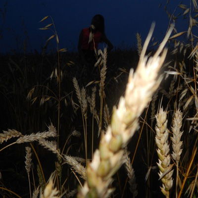 Ольга Федорова