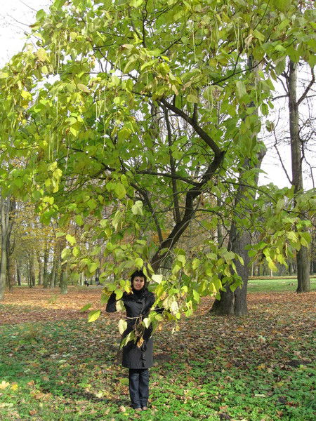 Инна Тарковская