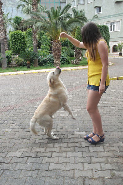 Катерина Каргополова