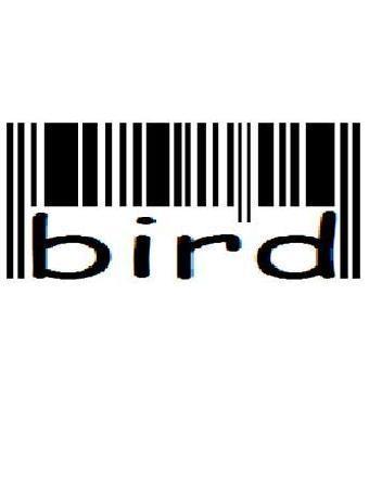 Dvoeao 0309 Bad S 90 Bird