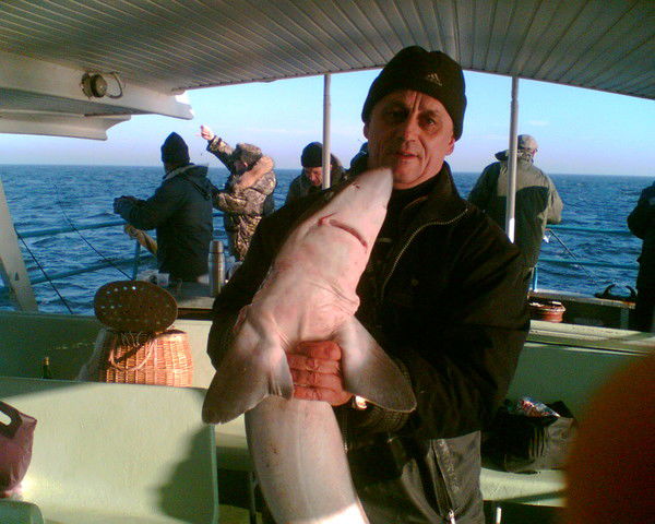 Геннадий Мацан