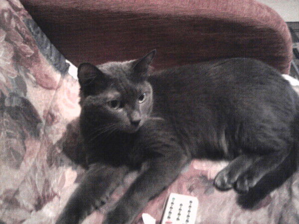 Ирина Захаренко