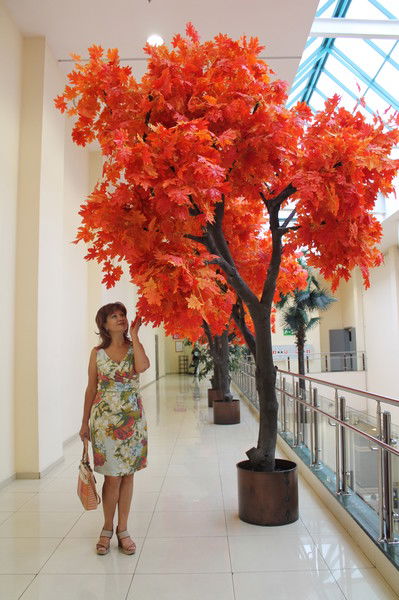 Светлана Кураева