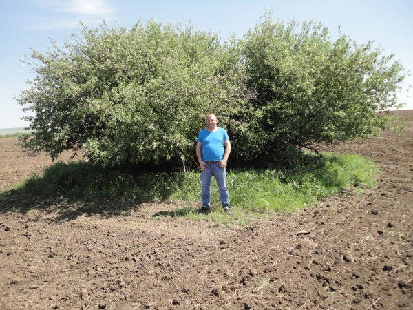 Владимир Пацановский