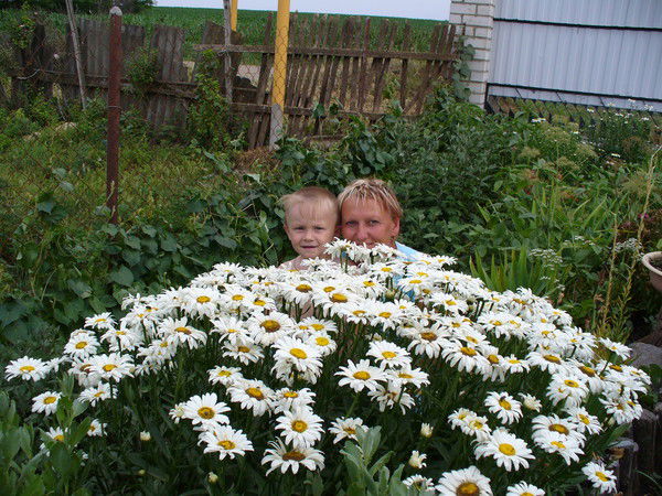 Татьяна Хопта