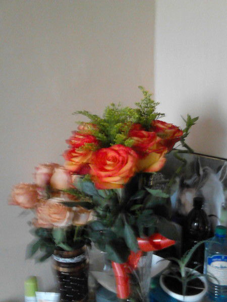 Елена Алешина