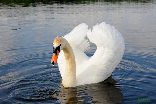 Жанна Иманбаева