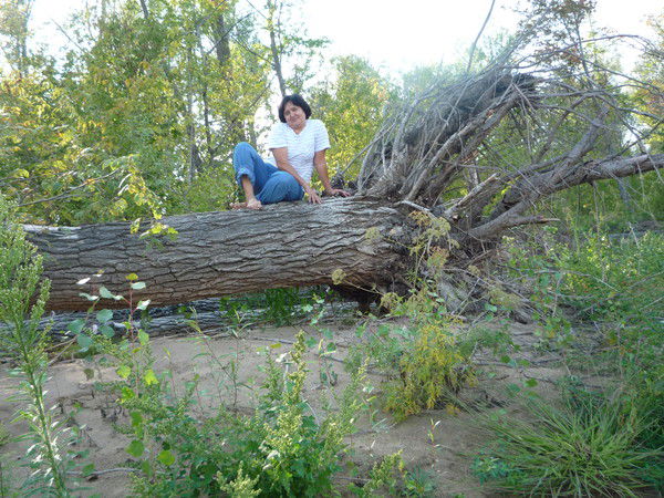 Анна Литвин