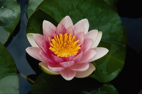 Айгуль Алдаргусеева