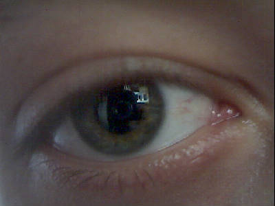 Александр Воронин