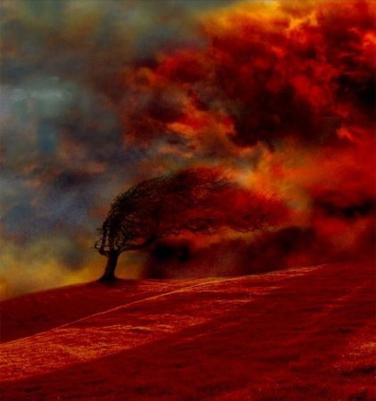 Вадим Трубанов